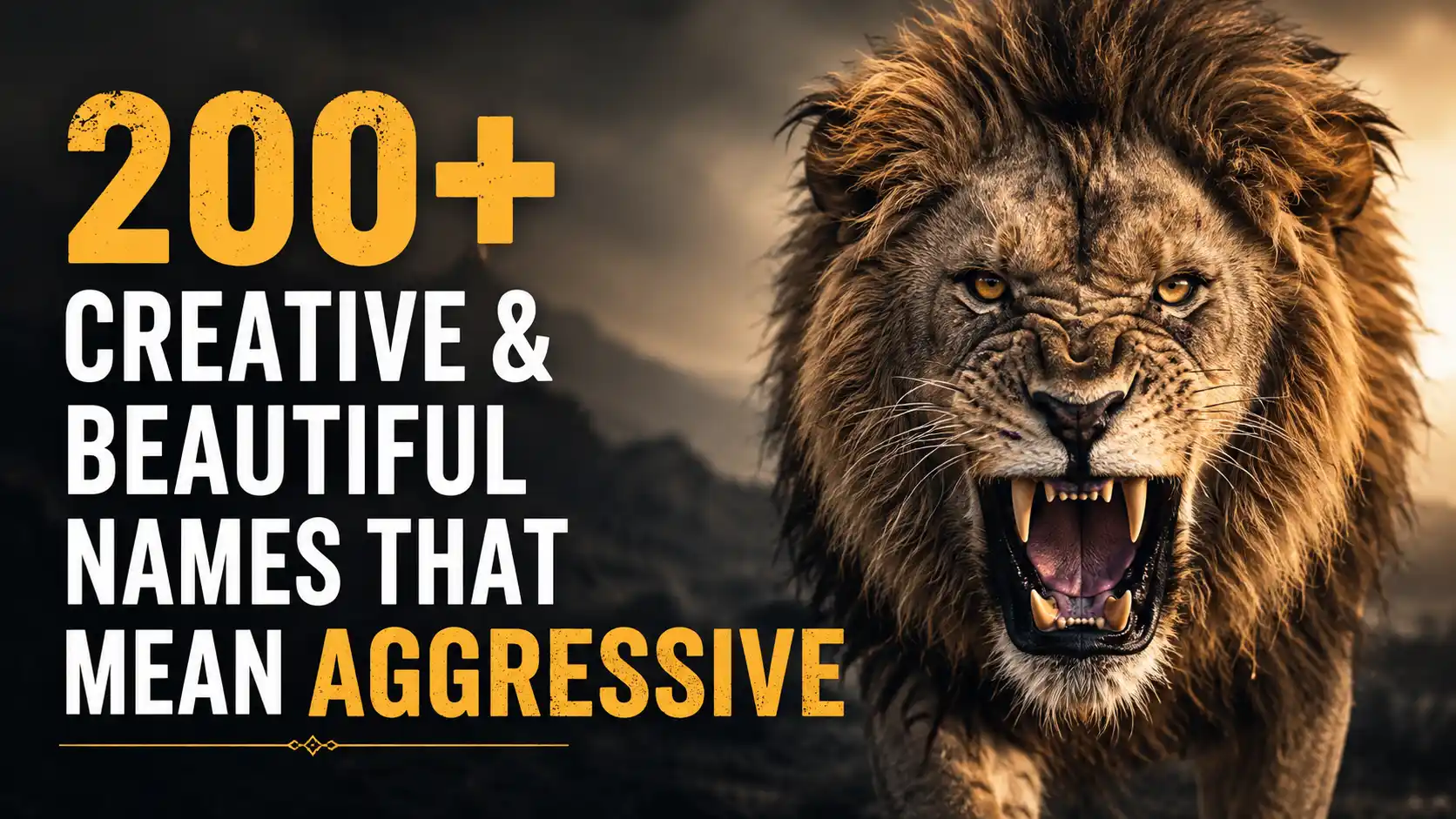200+ Creative & Beautiful Names That Mean Aggressive