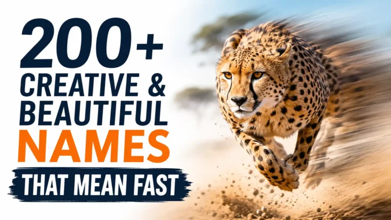 200+ Creative & Beautiful Names That Mean Fast
