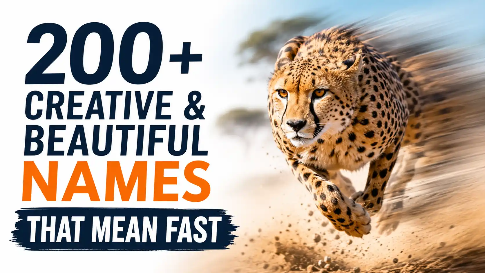 200+ Creative & Beautiful Names That Mean Fast