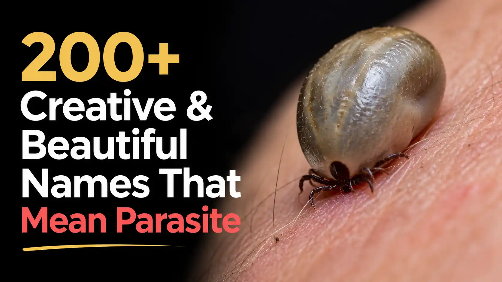 200+ Creative & Beautiful Names That Mean Parasite