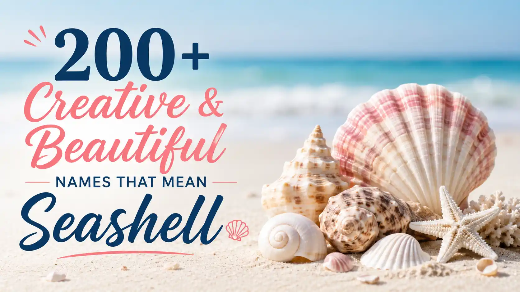 200+ Creative & Beautiful Names That Mean Seashell