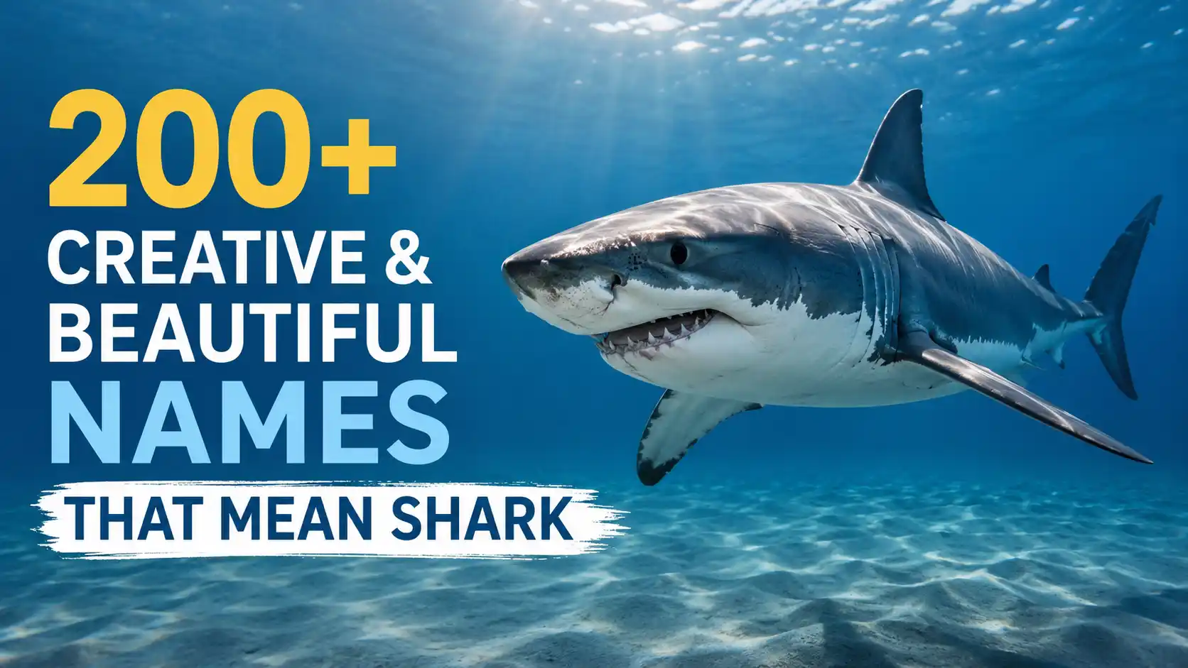 200+ Creative & Beautiful Names That Mean Shark