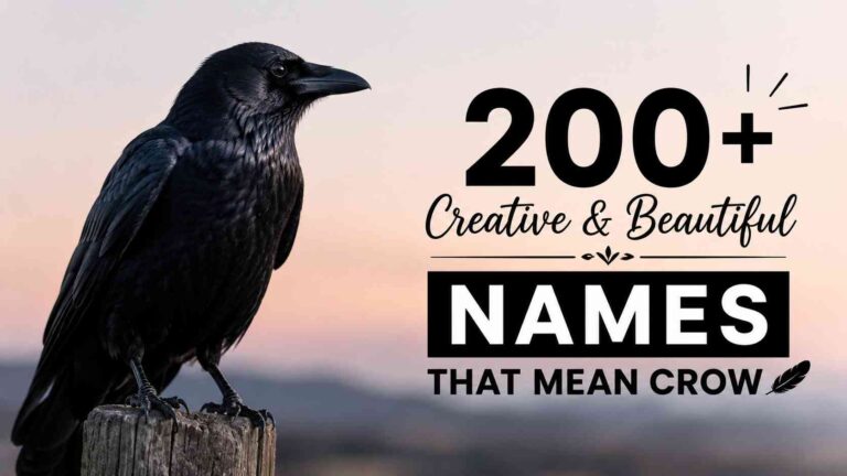 Names That Mean Crow