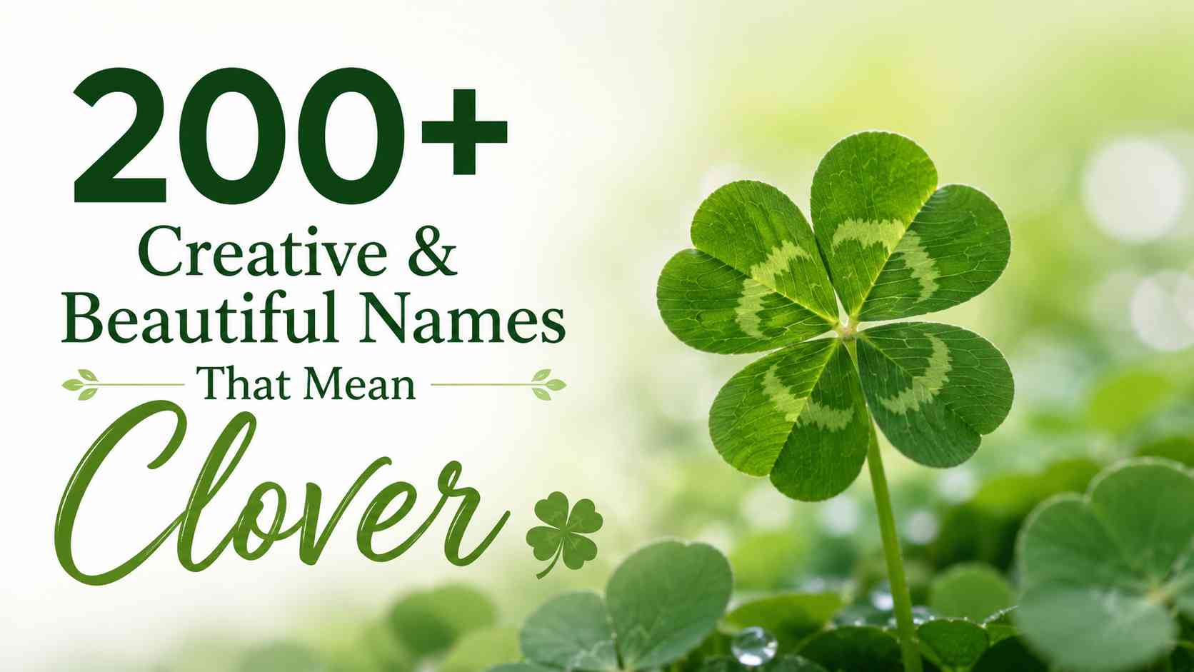 Names That Mean Clover